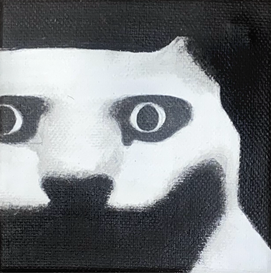 Very Frightened Feline