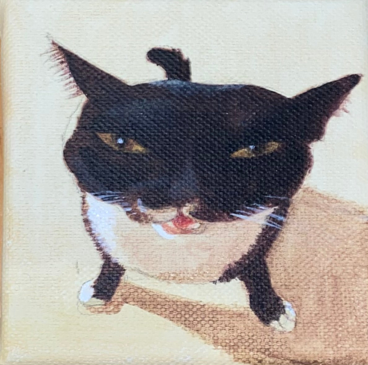 Evil Kitty