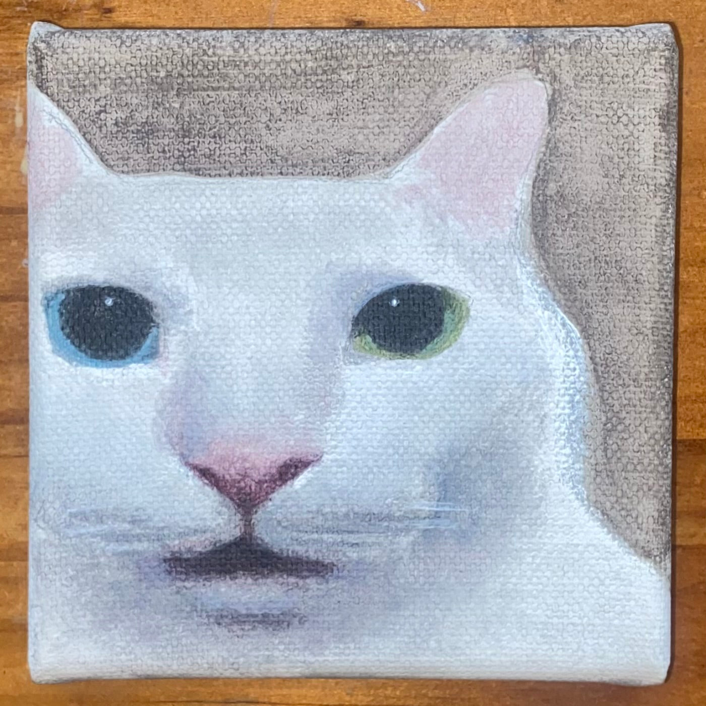 Frightened Feline