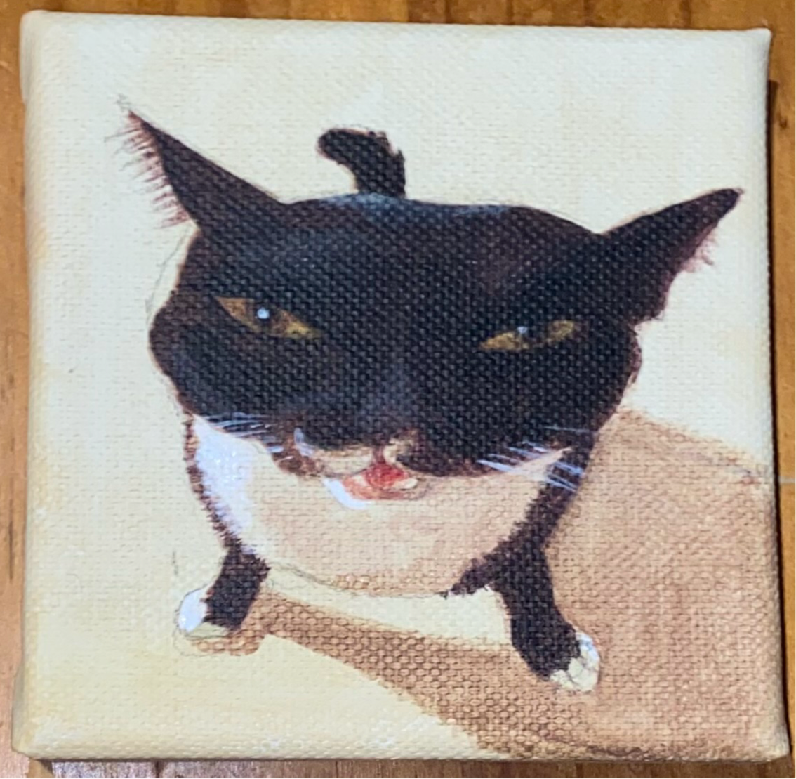 Evil Kitty