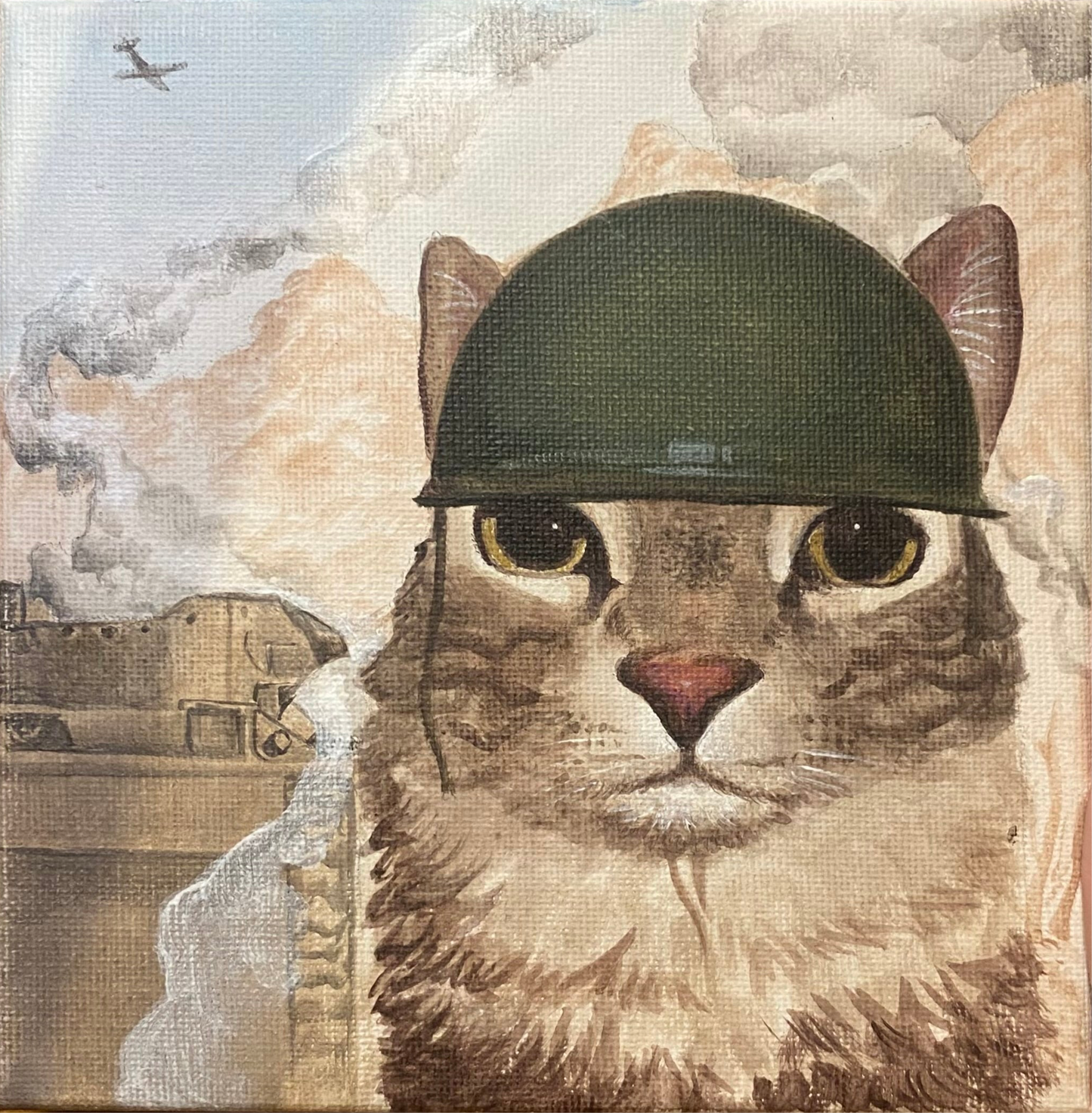 War-Torn Feline