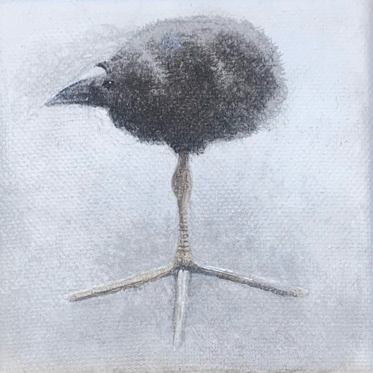 Feety Bird