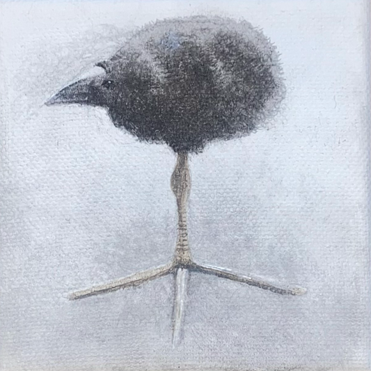 Feety Bird